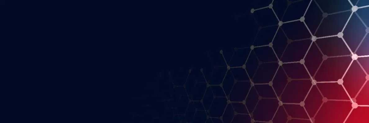 Sentry Systems team — cybersecurity and software development experts based in Malawi